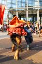 Ou est Stern 14 * 5184 x 3456 * (6.19MB)